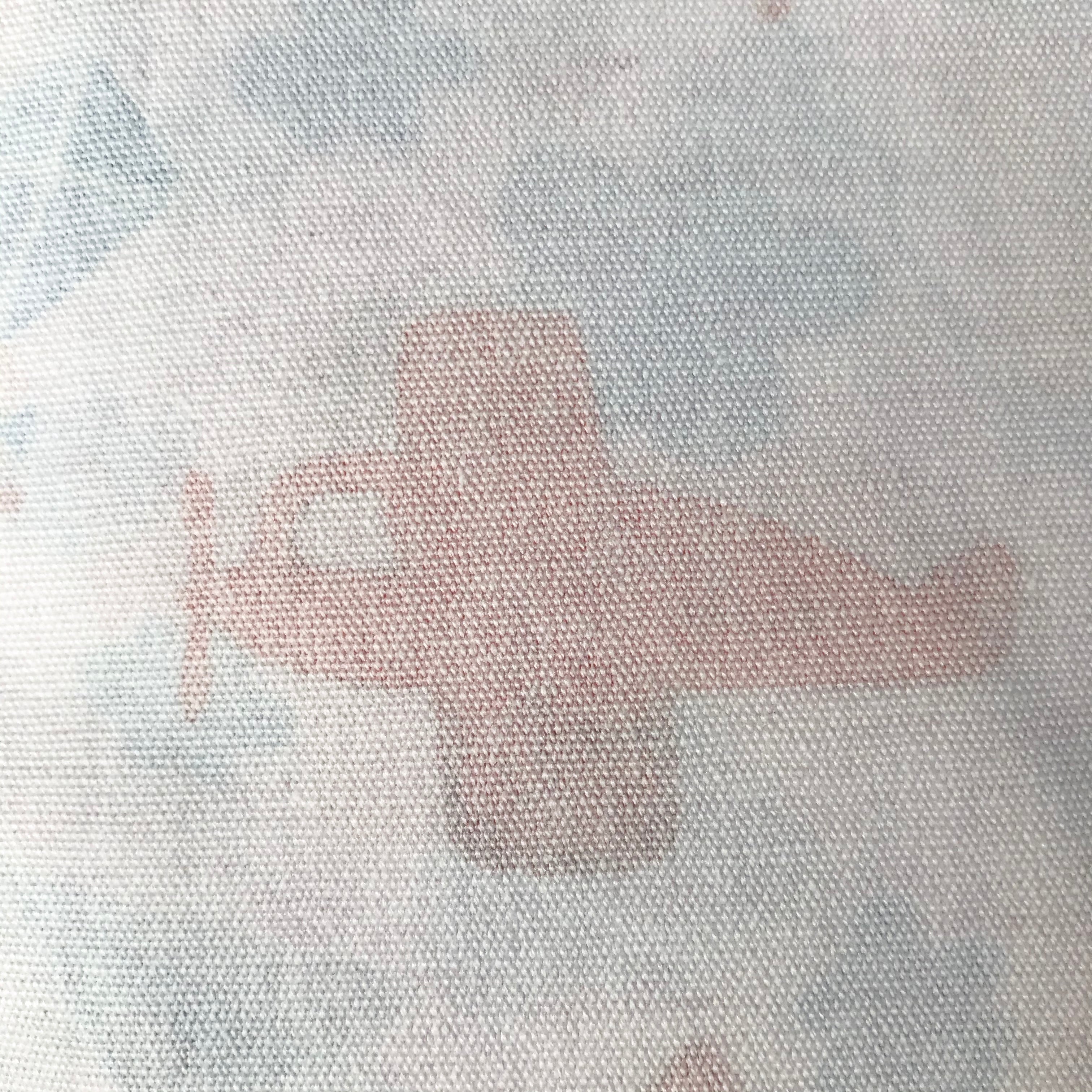 250G Canvas